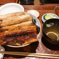にょろ助 銀座 - 