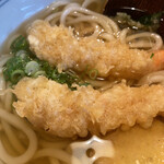うどん家 さぬき - 天ぷらうどんドアップ