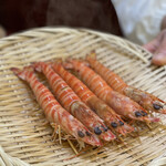 兄弟寿し - 次物　車海老