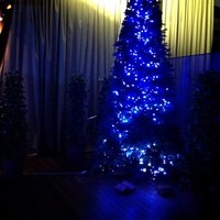 International cuisine subzero - Xmasツリーもシック