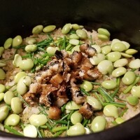 御料理 光安 - ⑨鰻(滋賀県琵琶湖産)と黒豆の枝豆(兵庫県丹波産)の炊き込みご飯
                    鰻の産卵期は初夏～晩秋、旬は秋～晩秋
                    パサパサだったり泥臭かったりは無し
                    濃厚な旨みが拡がるほどエネルギッシュでした