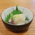 鮨まつ井 - 