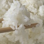 ほっともっと - 肉野菜炒め弁当のライス