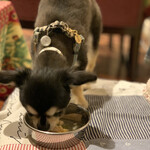 軽井沢ホテルそよかぜ - 