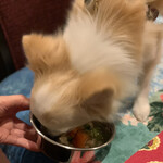 軽井沢ホテルそよかぜ - 