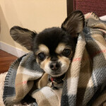 軽井沢ホテルそよかぜ - 