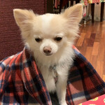 軽井沢ホテルそよかぜ - 