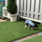 軽井沢ホテルそよかぜ - 