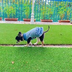 軽井沢ホテルそよかぜ - 