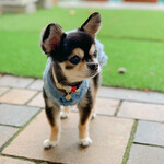 軽井沢ホテルそよかぜ - 