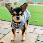 軽井沢ホテルそよかぜ - 