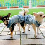 軽井沢ホテルそよかぜ - 