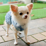 軽井沢ホテルそよかぜ - 