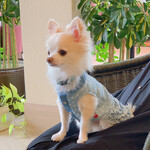 軽井沢ホテルそよかぜ - 