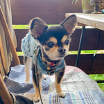 ​冬のRK GARDEN - 