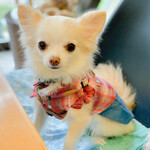 ​冬のRK GARDEN - 