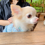 ​冬のRK GARDEN - 