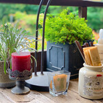 ​冬のRK GARDEN - 