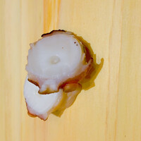 三軒茶屋 鮨かんてら - 