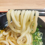 手打うどん がんちゃん - 麺は太くてムッチリ！