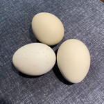 たまごやとよまる - 料理写真: