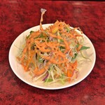 ナンダ インディアン ダイニング - サラダ