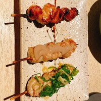 うなぎ 目白ぞろ芽 - 