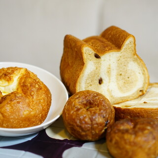 東京ねこねこ_0