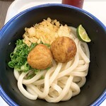 琴平うどん食堂 紡麦 - 