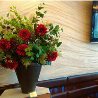 リストランテ・ベニーレベニーレ - 