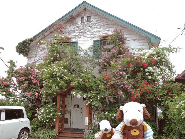 グリーン ゲイブルズ