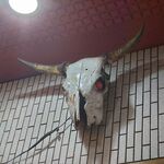 一条流がんこ総本家分家四谷荒木町 - 