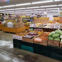 口コミ一覧 : サンパティーク ヒビノ - 日比野（名古屋市営）/その他