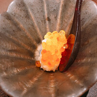 神楽坂 よこ田 - 