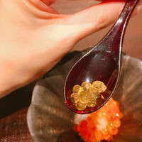 神楽坂 よこ田 - 