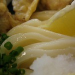 手打うどん 風月 - かしわ天おろし うどんアップ