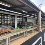 四季菜 - 店頭には苗木などが並んでます