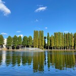 アナザープレイスカフェ  - 湖面に映る青空が美しい別所沼。対岸から、噴水の向こうにお店を望む（木に隠れて見えませんが）