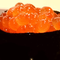 はっこく - いくら