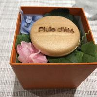 Pluie dete - 