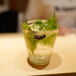 鮨 さいとう - スペスペ金魚