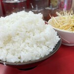 家系ラーメン王道 いしい - ライス大はかなりヤバかった(ネギ別皿との比較)