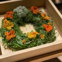 焼鳥 篠原 - 