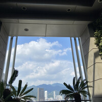 MAIN DINING by THE HOUSE OF PACIFIC - テラス席からの景色