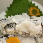 ひさご寿し - おいかわのめずし