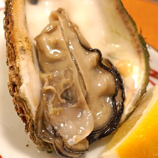Dainichi Karashuzou - 岩牡蠣