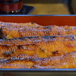 炭焼うなぎ 加茂 - うな重　特上