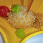 日本料理 きん魚 - 