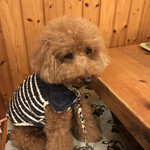 ガーデンリゾート淡路島 ハナアンドキッス - ササミ待ちなう