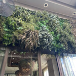 MAIN DINING by THE HOUSE OF PACIFIC - テラス席の窓